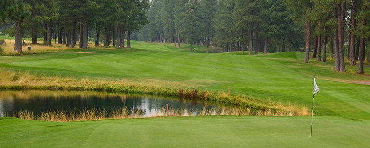 Widgi Creek Golf